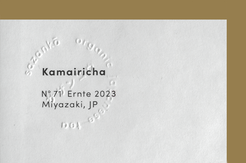 kamairicha, miyazaki, 2023